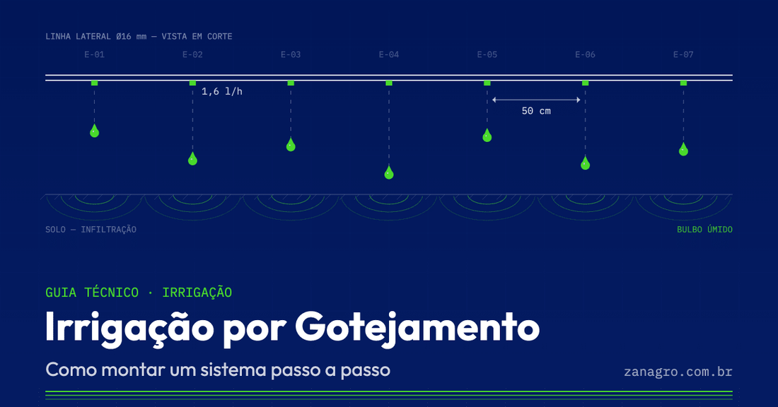 Irrigação por Gotejamento: Como Montar um Sistema Passo a Passo - Zanagro