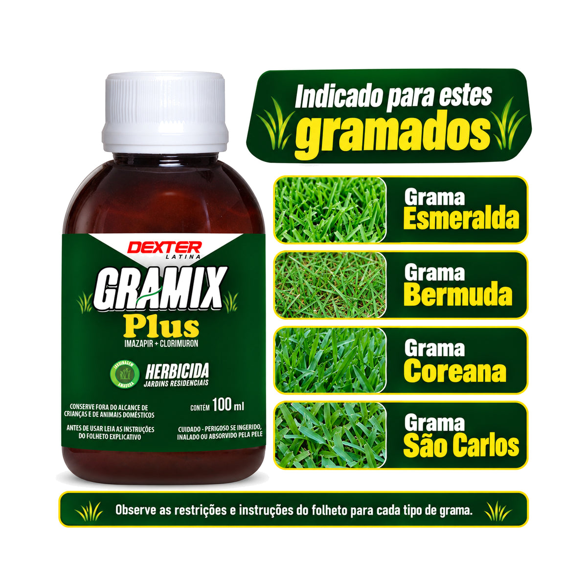 Gramix Plus Herbicida Seletivo 100ml