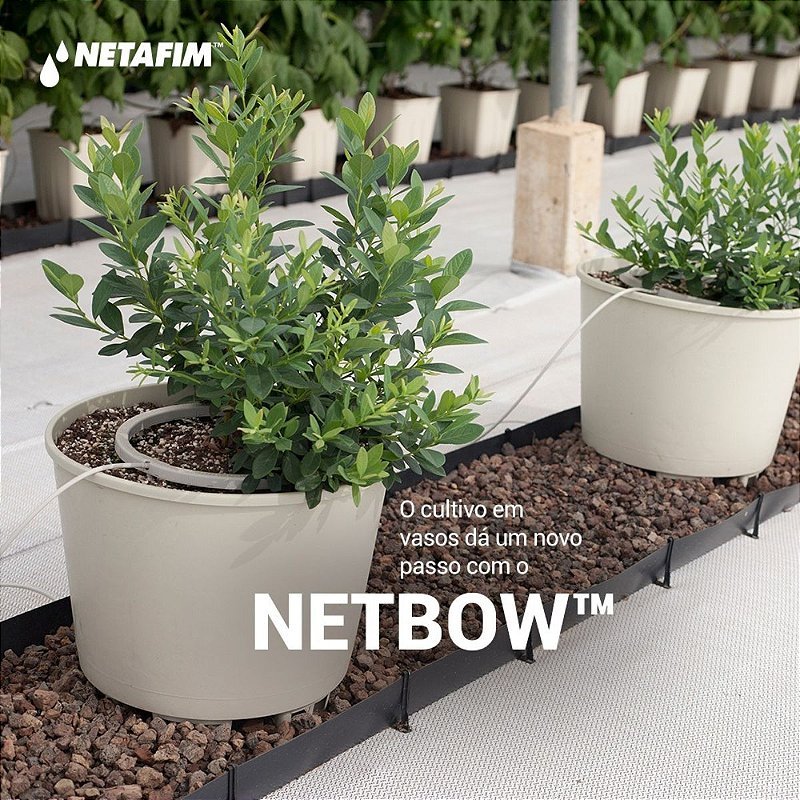 Arco Gotejador Netafim Netbow 12cm 4 Saídas - 10 unid. - Zanagro