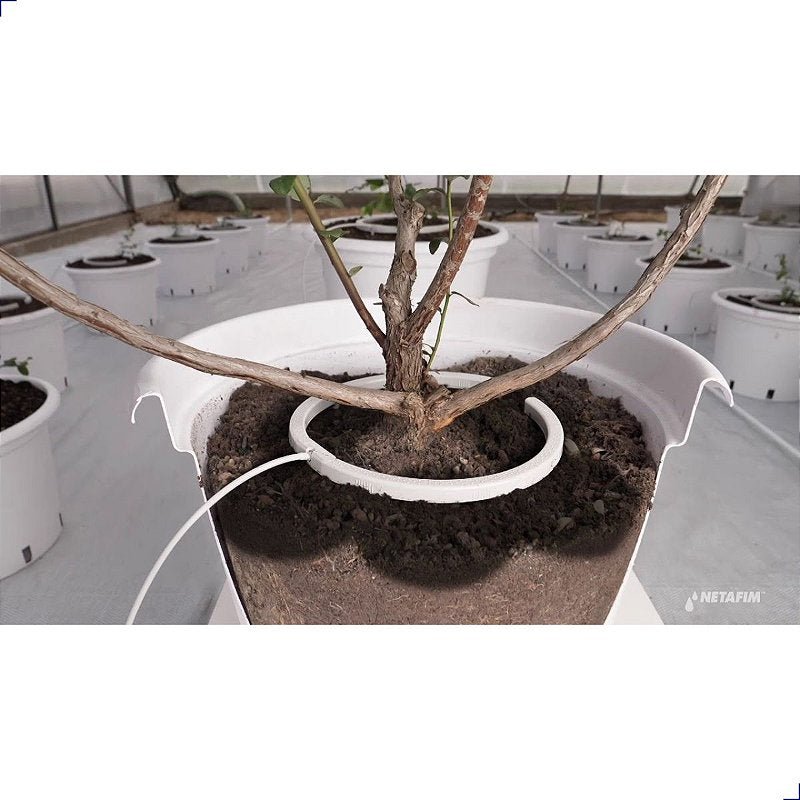 Arco Gotejador Netafim Netbow 25cm 8 Saídas - Zanagro
