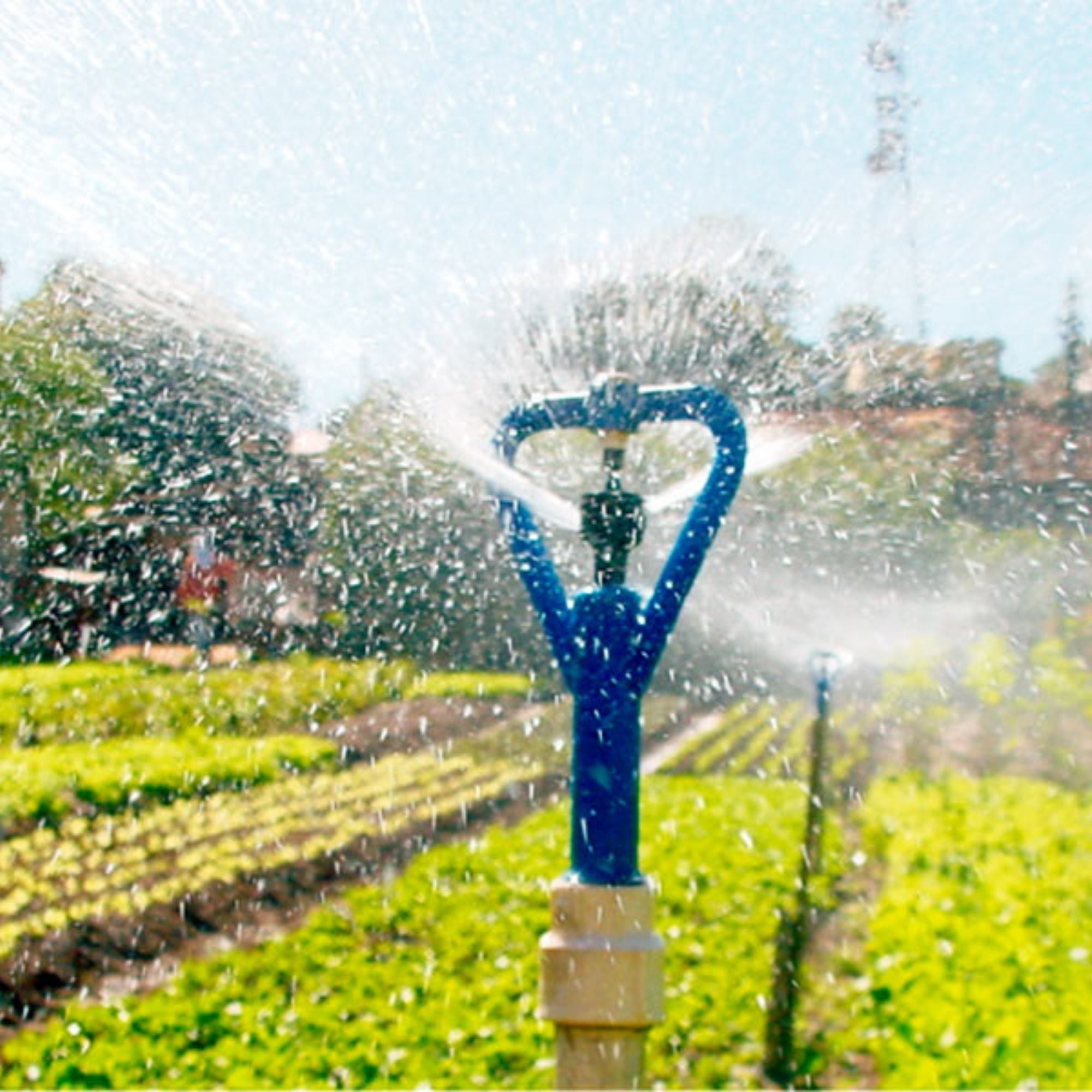 Aspersor Agrojet P3 com Rosca Externa de 1/2" - 6 unid. - Zanagro