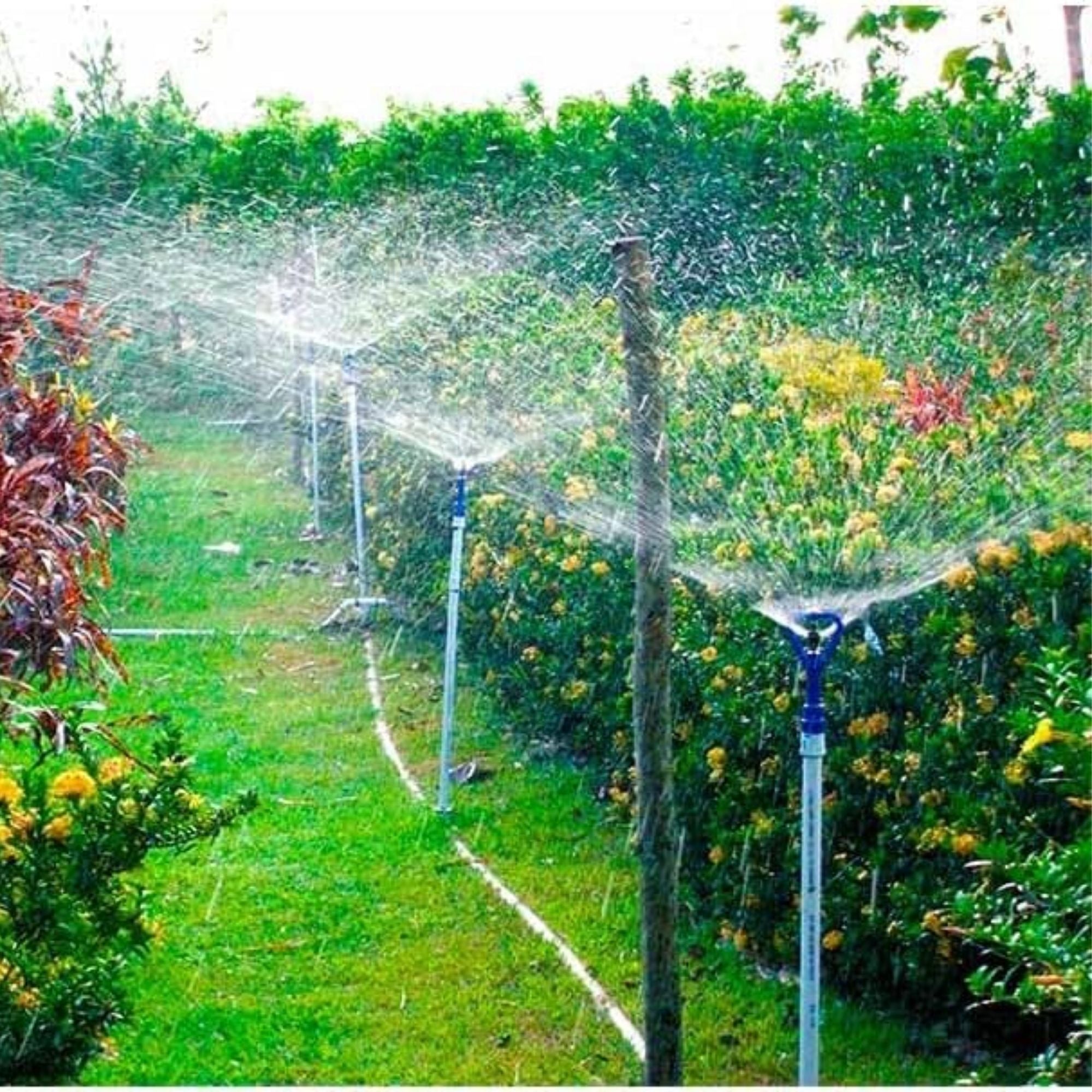 Aspersor Agrojet P3 com Rosca Externa de 1/2" - 6 unid. - Zanagro