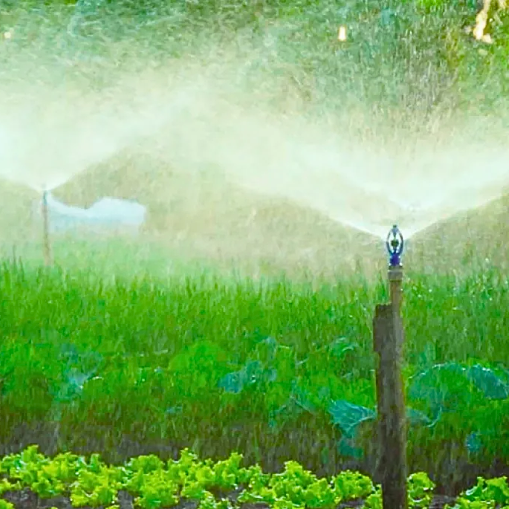 Aspersor Agrojet P5 com Rosca 1/2" - 06 unid. - Zanagro