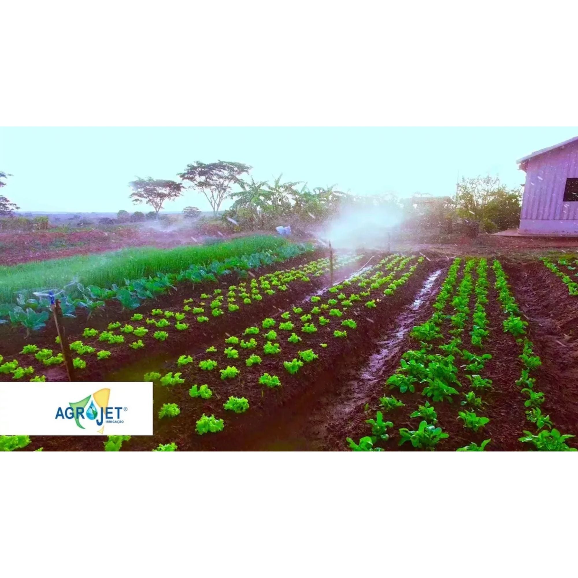 Aspersor P5 com Rosca 1/2" - Agrojet - Zanagro