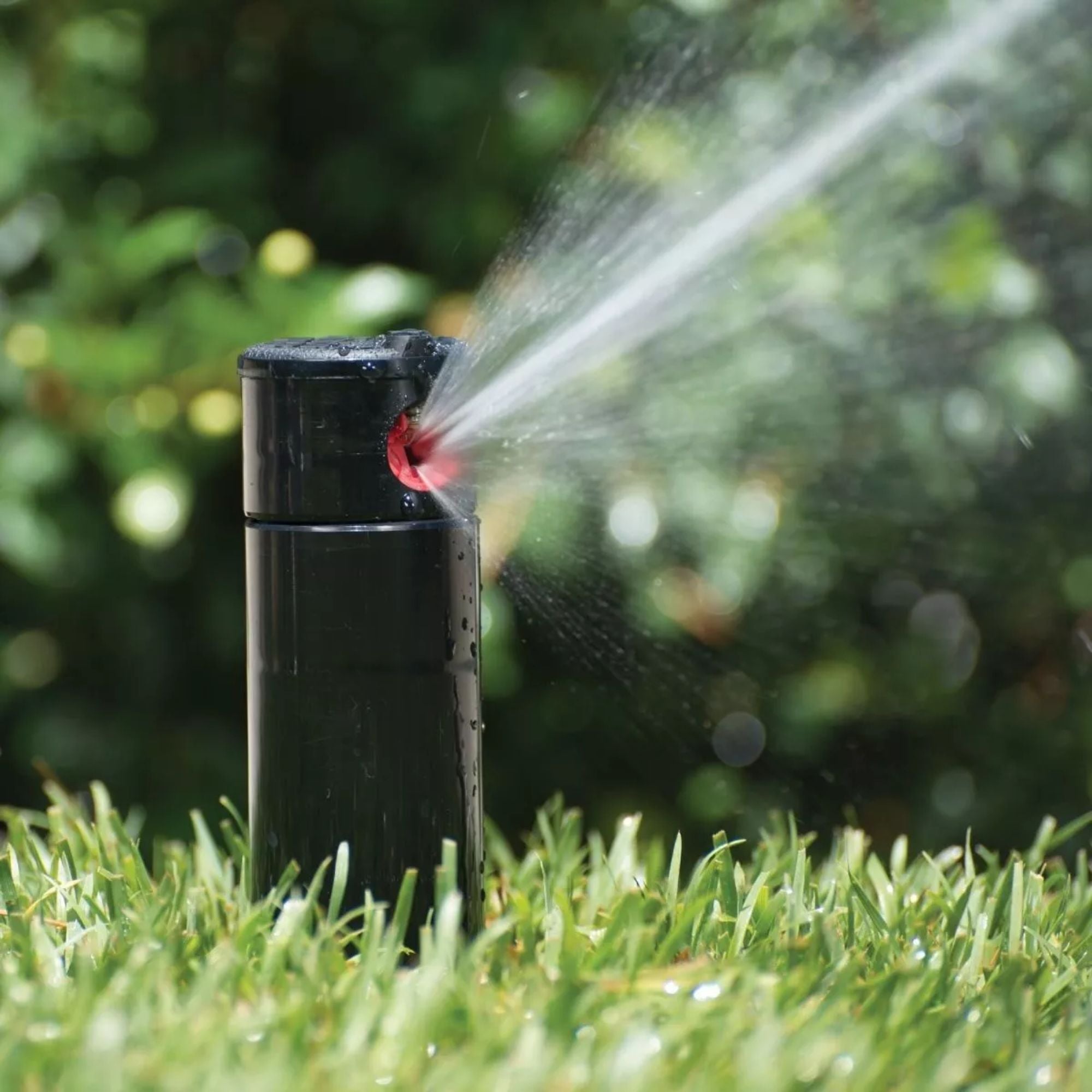 Aspersor Subterrâneo Hunter PGP - ADJ Rotor Plástico 3/4" sem Válvula Check - Zanagro