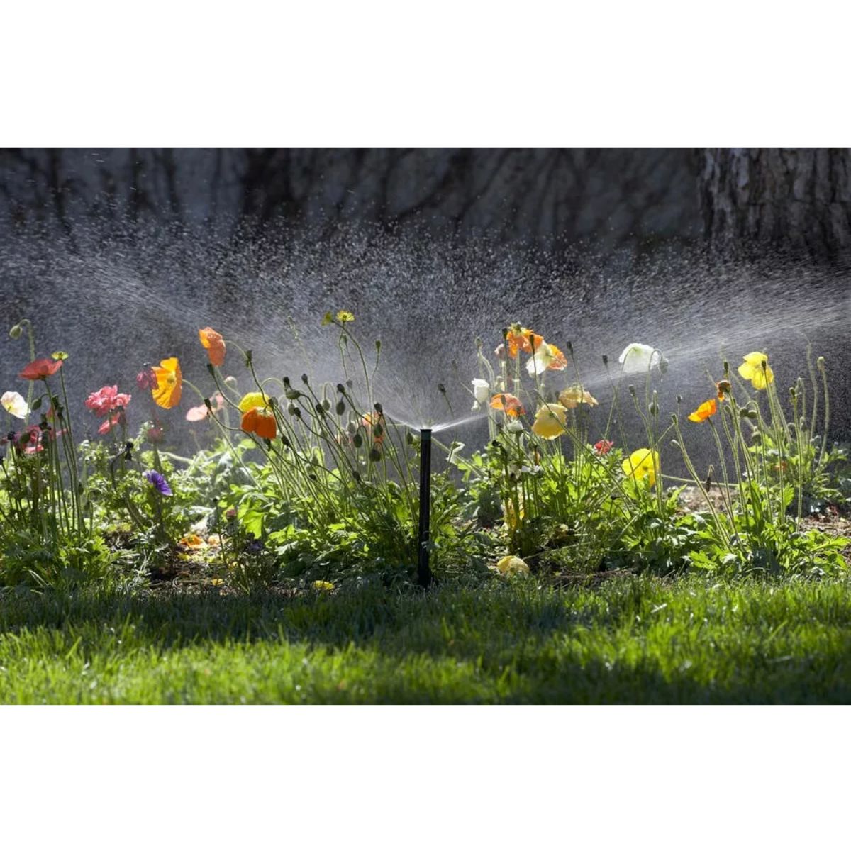 Aspersor Subterrâneo Pop - Up Hunter PS Ultra - 04 - 05 unid. - Zanagro