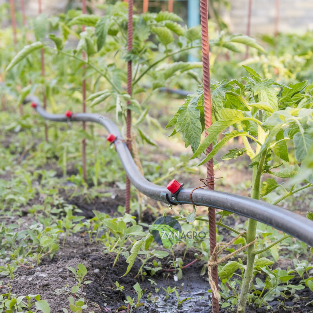Bico Gotejador Regulável IM-R70 - Zanagro