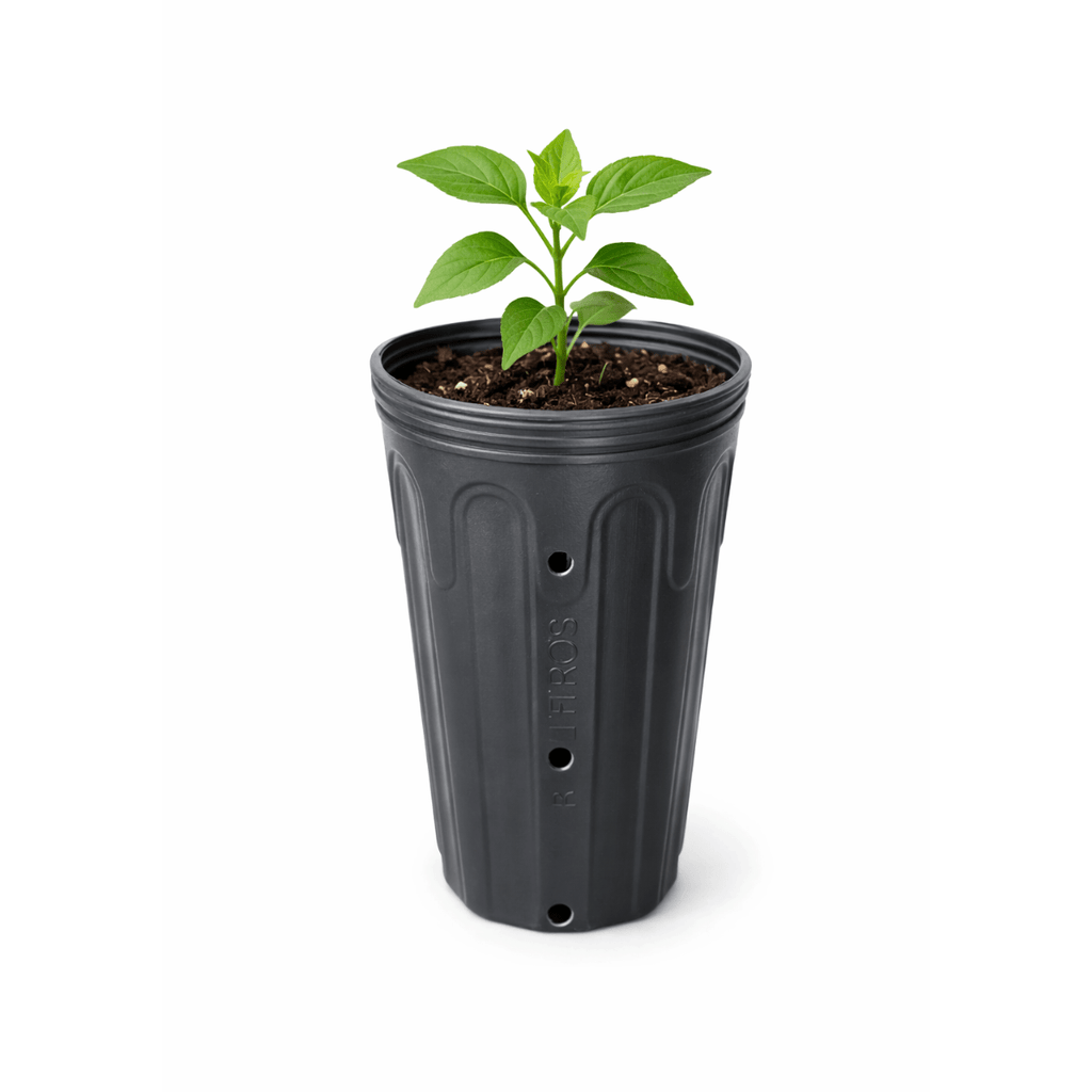Embalagem para Mudas 1,7 Litros Nutriplan - 50 unid - Zanagro
