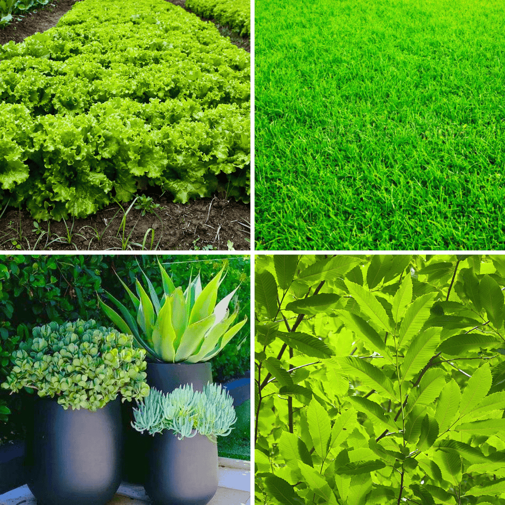 Fertilizante Premium Nutriverde para Folhagens e Gramados 420g - Zanagro