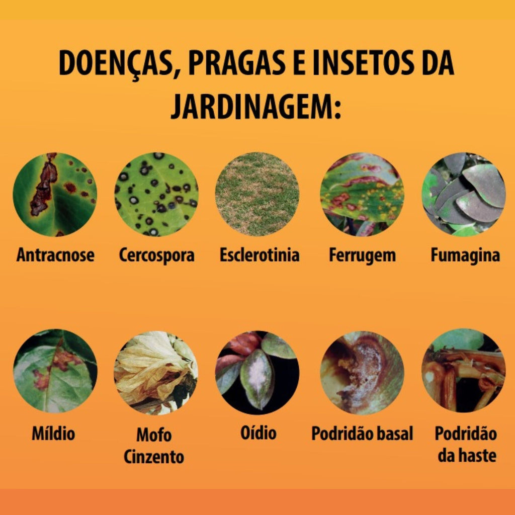 Fungidex Concentrado 1 litro - Dexter Latina - Zanagro