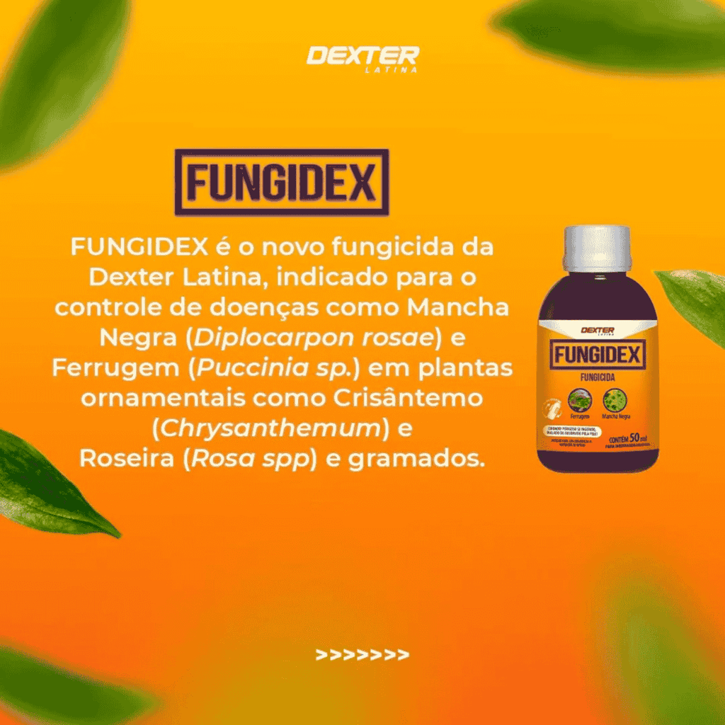 Fungidex Concentrado 250ml - Dexter Latina - Zanagro