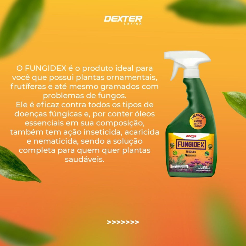 Fungidex Pronto Uso 500ml - Dexter Latina - Zanagro