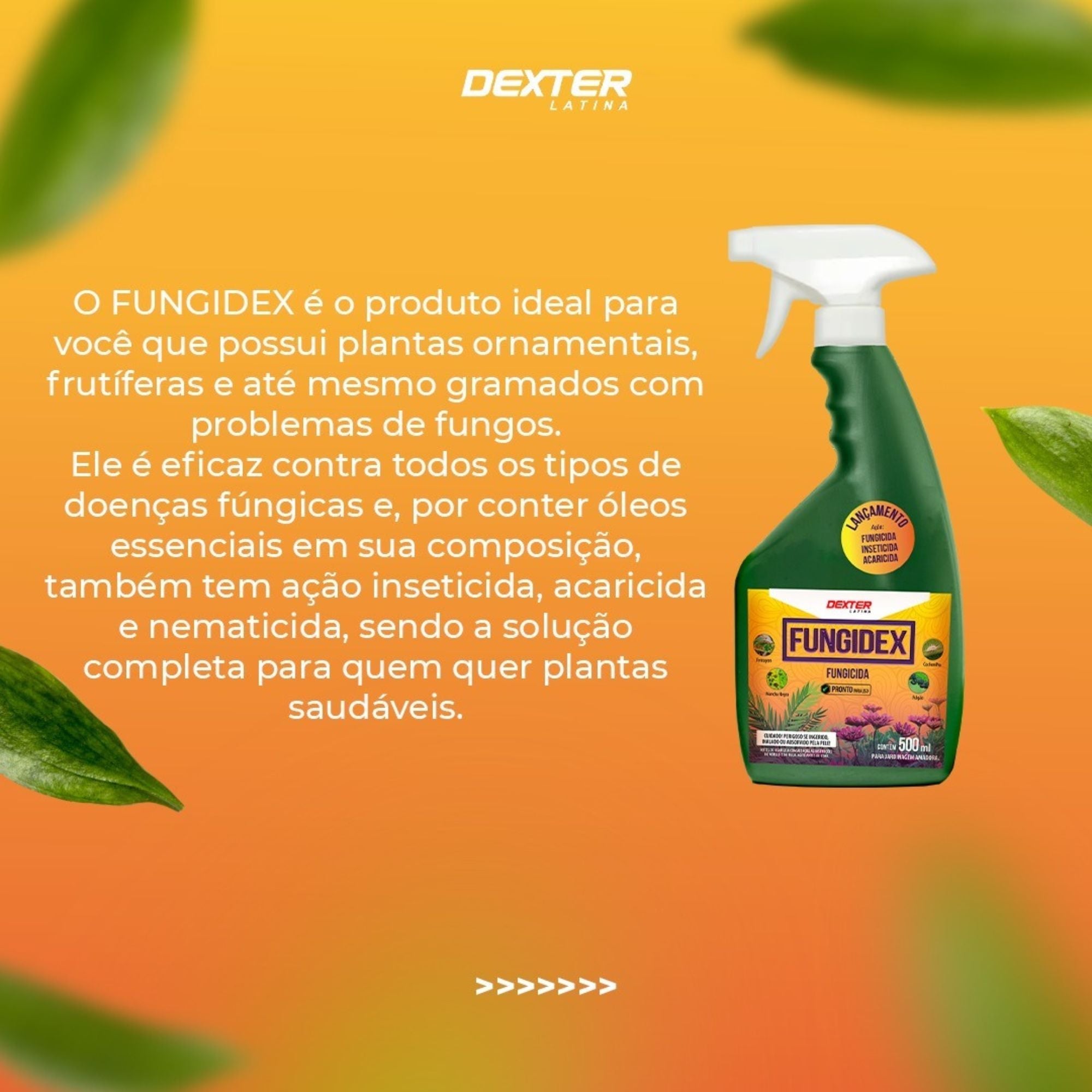 Fungidex Pronto Uso 500ml - Dexter Latina - Zanagro