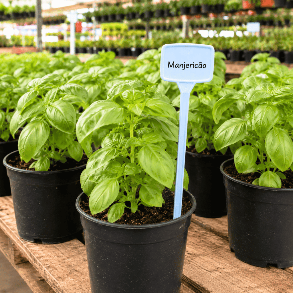 Kit 50 Identificador de Plantas 30cm Nutriplan Branco + 2 Canetas - Zanagro