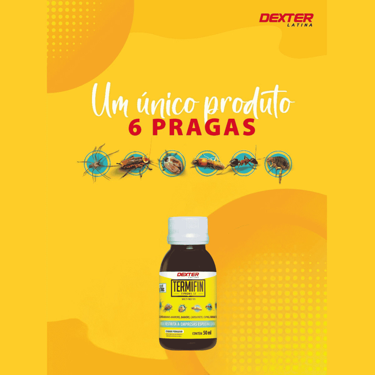 Kit Inseticida Termitrine 30ml e Termifin 50ml - Dexter Latina - Zanagro