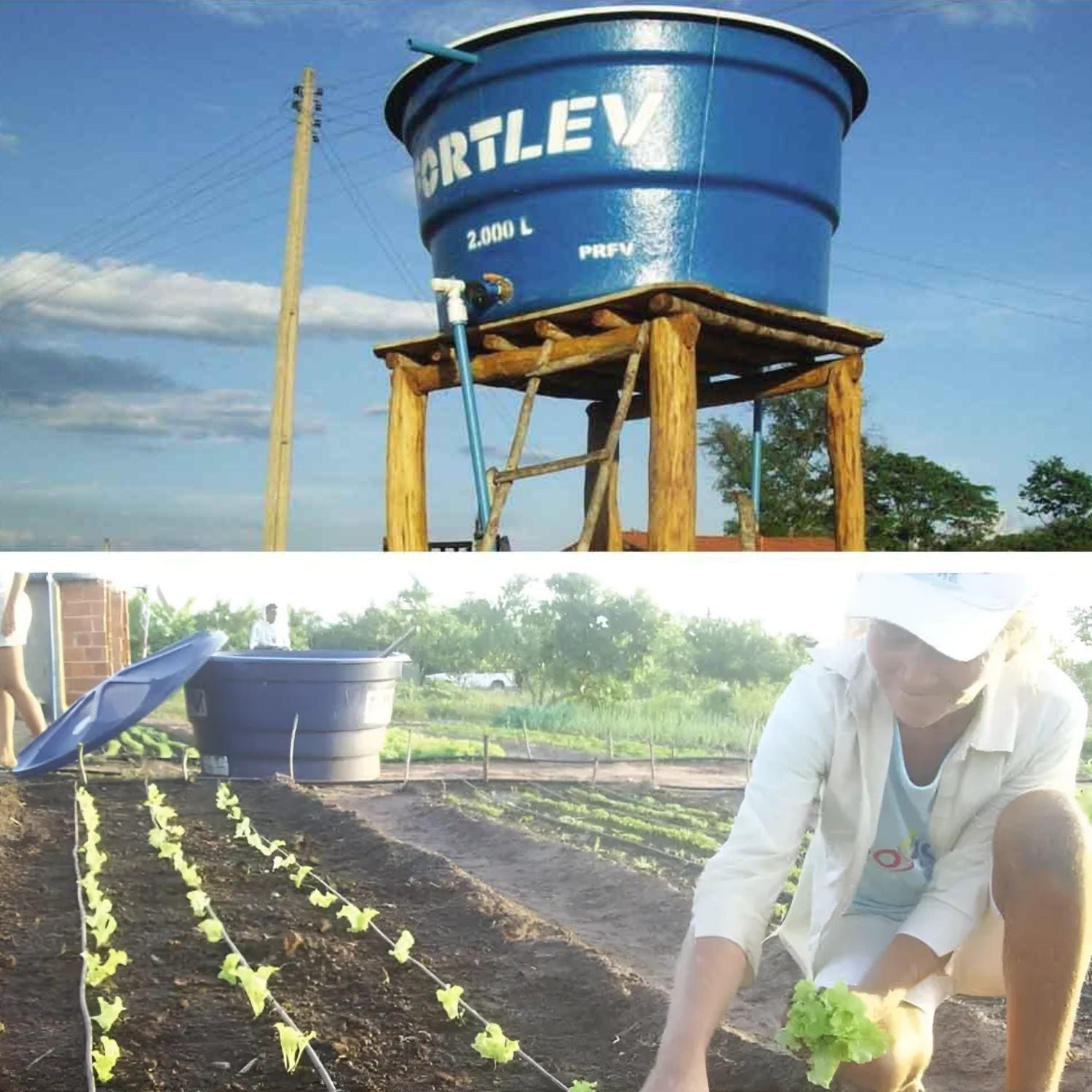 Kit Irrigação Familiar Por Gotejamento Kifnet 500 m² - Netafim - Zanagro