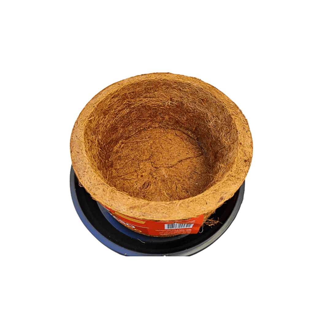 Kit Vaso Nutricoco Nutriplan com Prato e Corrente + Fertilizante Samambaia - Zanagro
