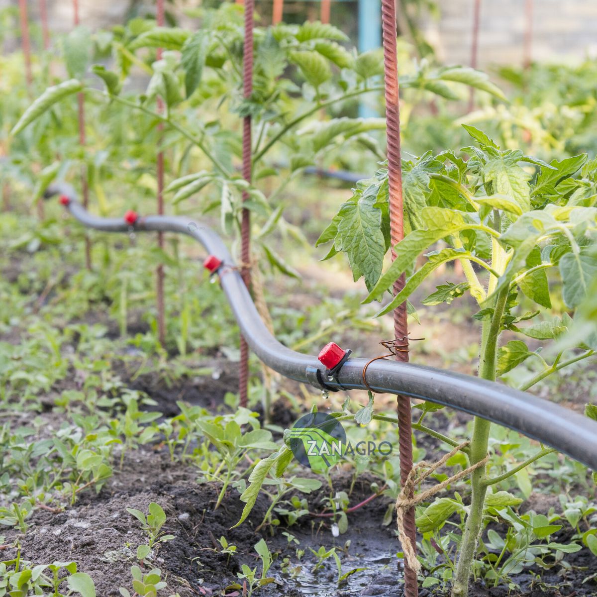 Mangueira Cega / Tubo PE 16mm PN30 500 metros - Irritec - Zanagro