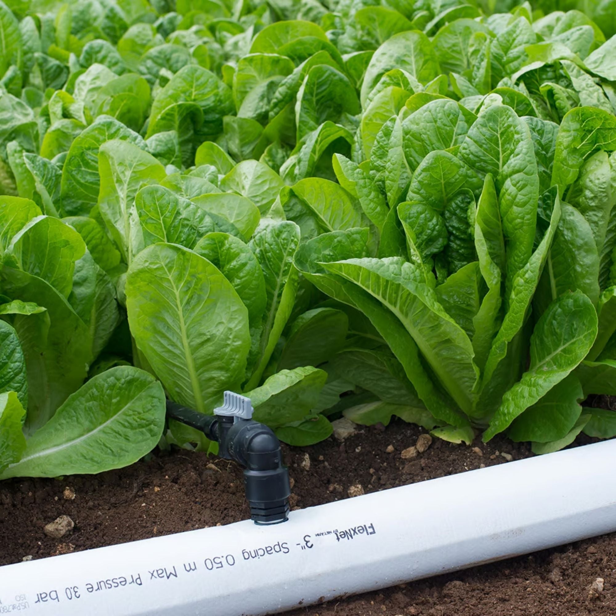 Tubo Flexível Flexnet 3" 50cm 1/2"RF Netafim - 100 metros - Zanagro