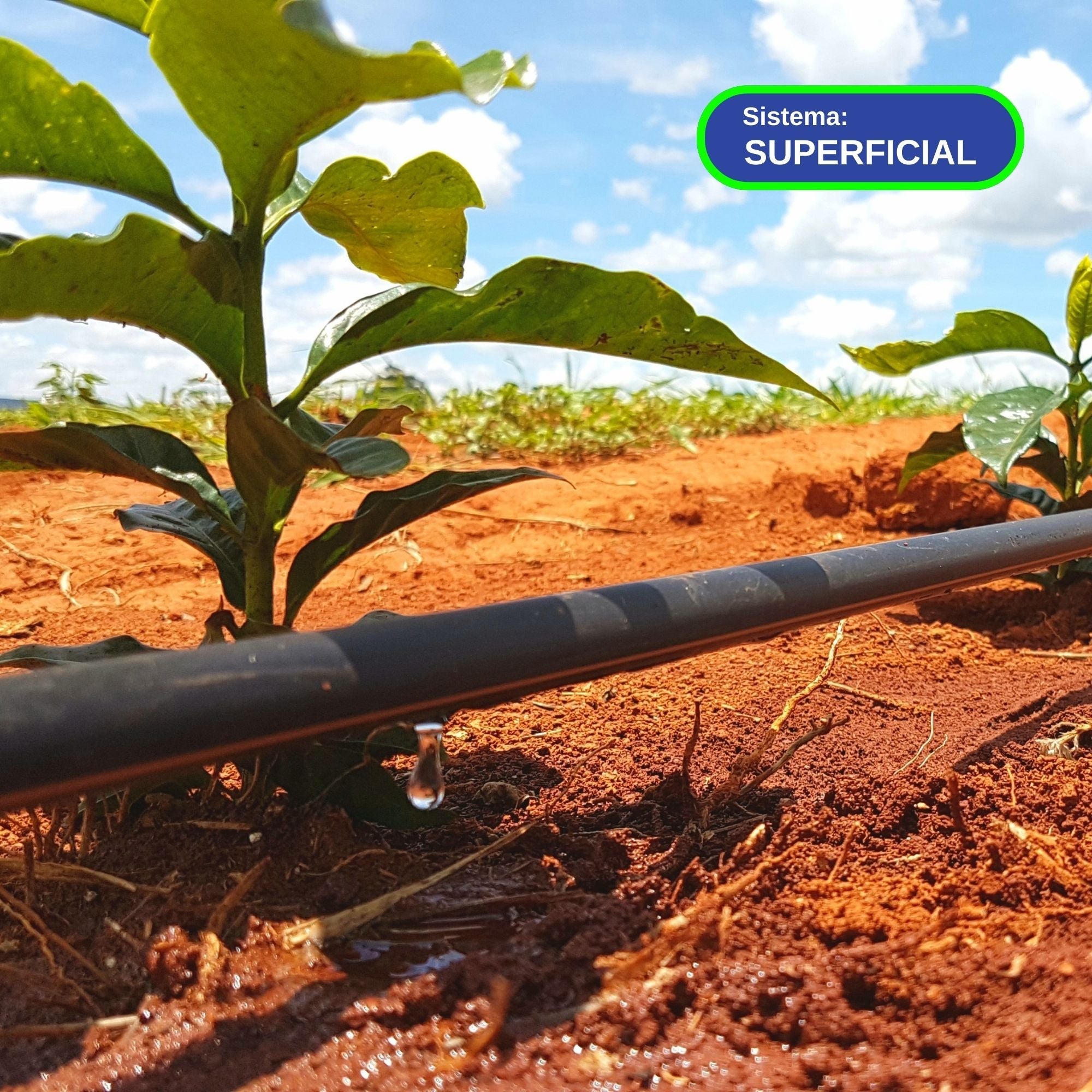Tubo Gotejador Netafim Dripnet PC AS 16250 (25 mil) 1.6 l/h 50cm 800 metros - Zanagro